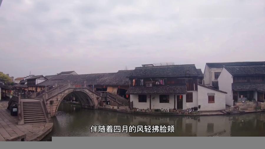 组装机械警暴龙